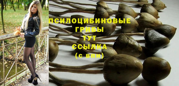Альфа ПВП Навашино