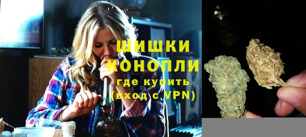 прущие грибы Надым